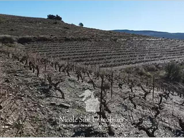 Terrain vente à Prades, Rasiguères
