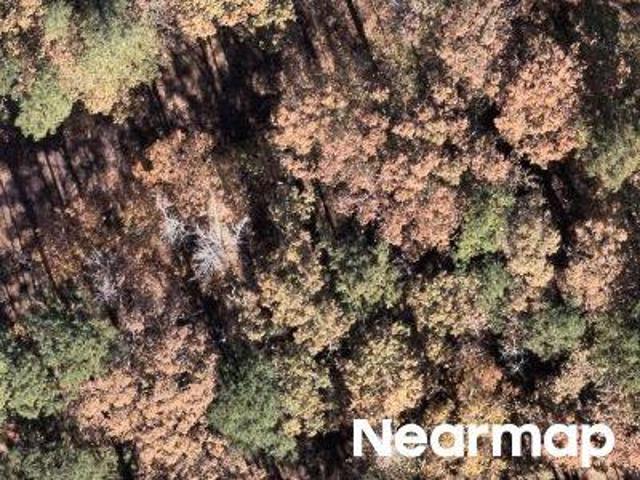 Land for sale in Ark