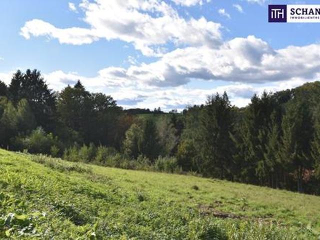 Grundstück kaufen in Kainbach, Steiermark