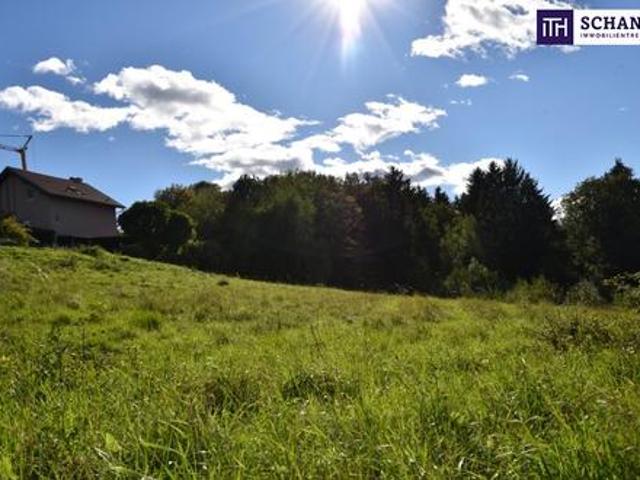Grundstück kaufen in Kainbach, Steiermark