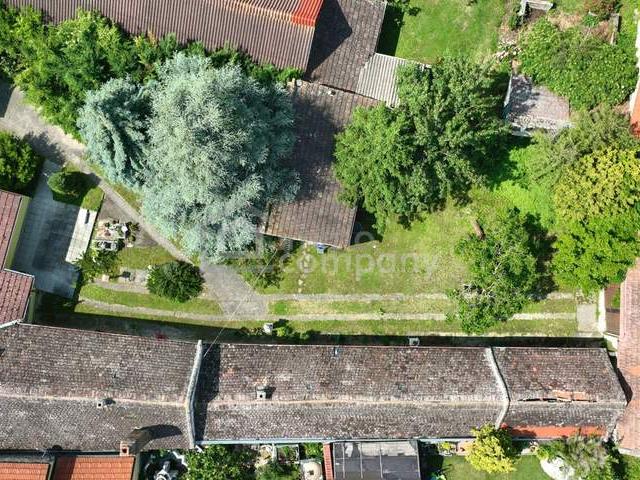 Haus kaufen in Bruck an der Leitha, Niederösterreich
