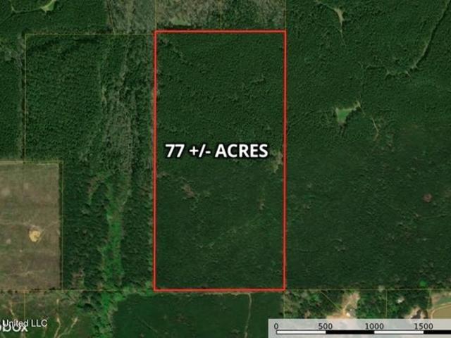 Land for sale in Canton, Madison County