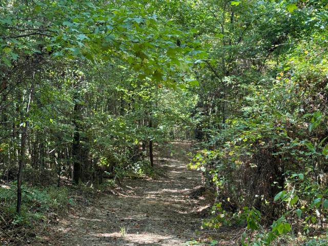 Land for sale in Canton, Madison County