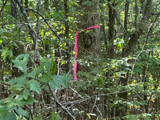 Land for sale in Canton, Madison County
