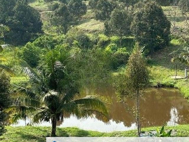 Shop for sale in Raub, Pahang