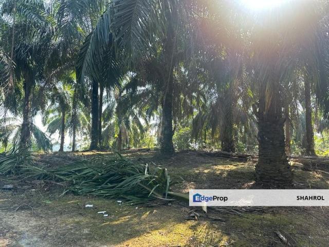 Shop for sale in Raub, Pahang