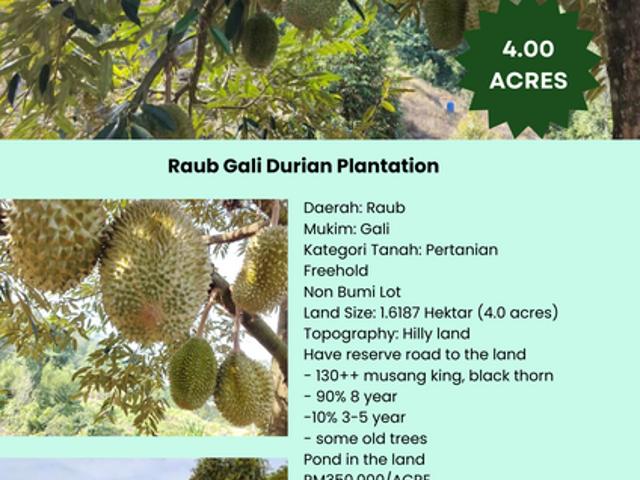 Shop for sale in Raub, Pahang