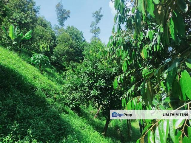 Shop for sale in Raub, Pahang