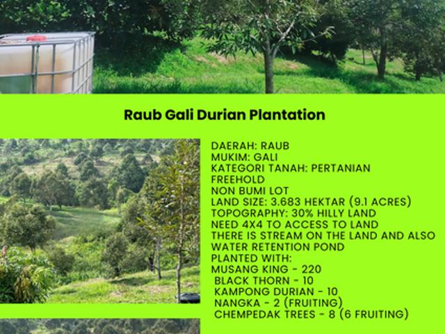 Shop for sale in Raub, Pahang
