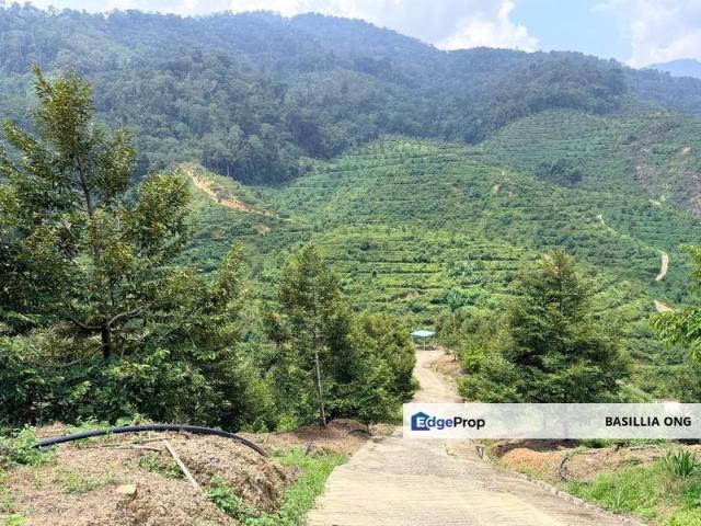 Shop for sale in Raub
