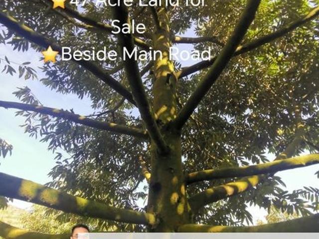 Shop for sale in Raub, Pahang