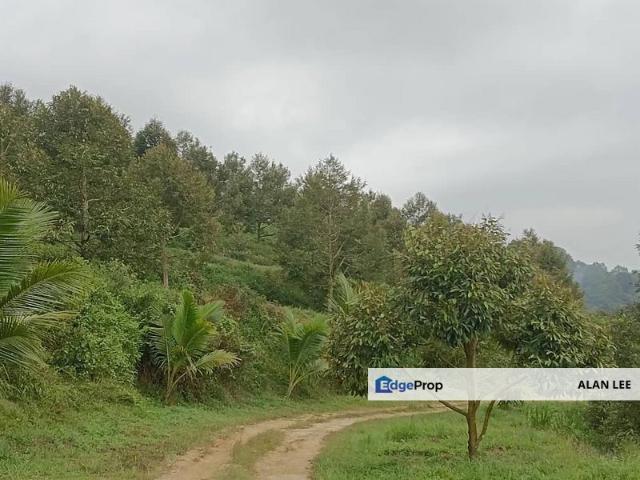 Shop for sale in Raub, Pahang