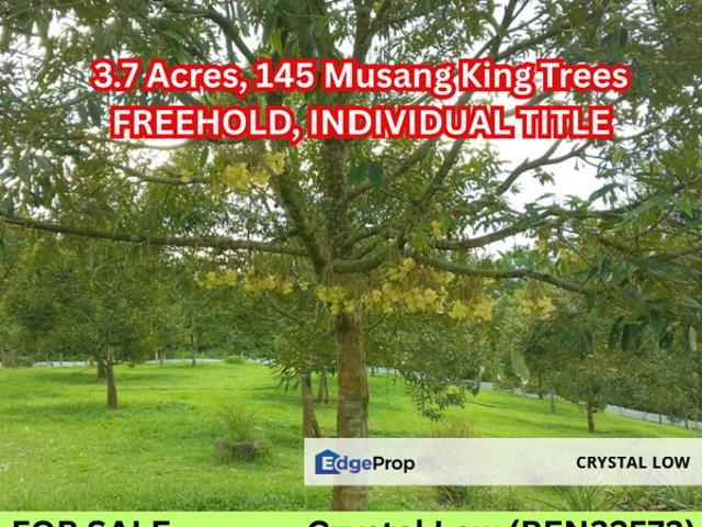 Shop for sale in Raub, Pahang
