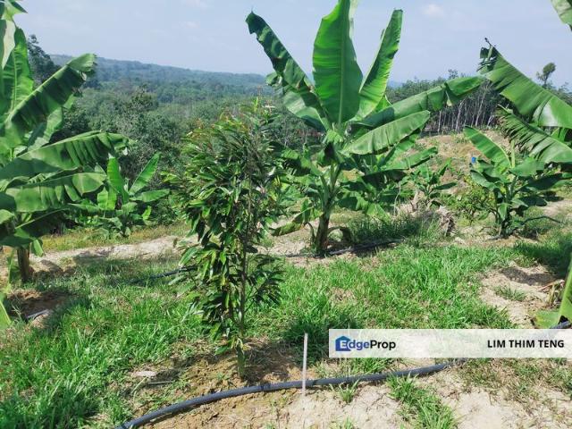 Shop for sale in Raub, Pahang