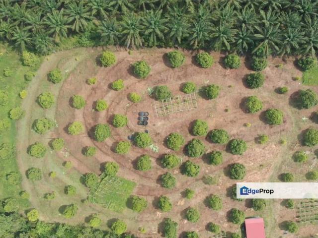 Shop for sale in Raub, Pahang