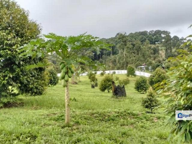 Shop for sale in Raub, Pahang