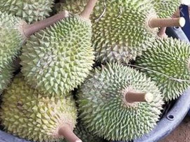 Shop for sale in Raub, Pahang