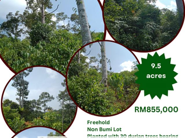 Shop for sale in Raub, Pahang