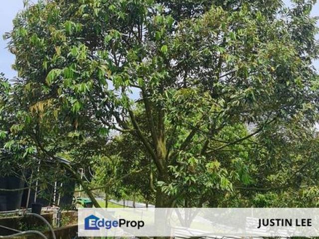 Shop for sale in Raub, Pahang
