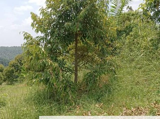 Shop for sale in Raub, Pahang