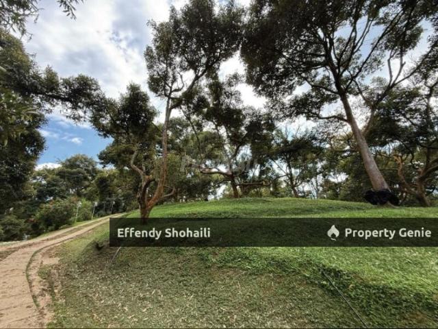 Property for sale in Teras, Pahang