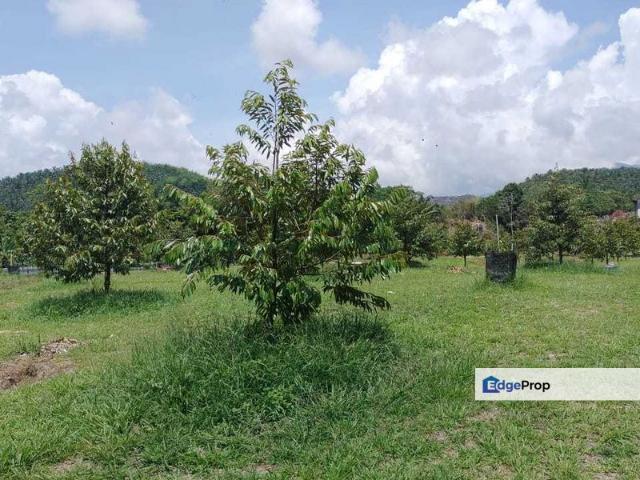 House for sale in Raub, Pahang