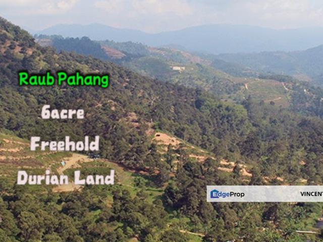 Shop for sale in Raub, Pahang