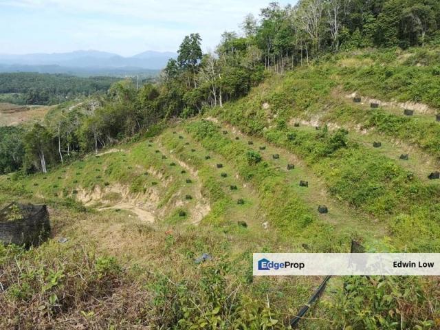 Shop for sale in Raub, Pahang