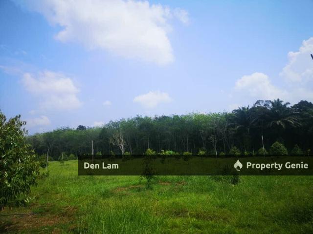 Property for sale in Raub, Pahang