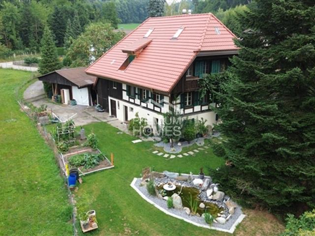 Einfamilienhaus kaufen in Rapperswil (BE), Bern
