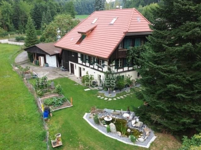 Einfamilienhaus kaufen in Rapperswil (BE), Bern