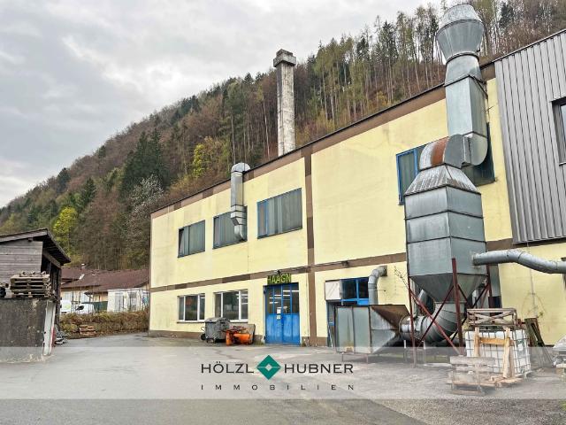 Industrie mieten in Hallein, Salzburg