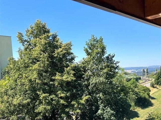 Reihenfamilienhaus kaufen in Berikon, Aargau