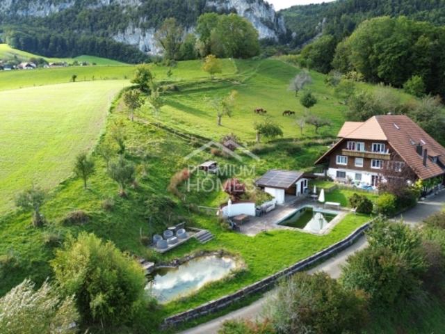 Bauernhaus kaufen in Niederwil (SO), Solothurn