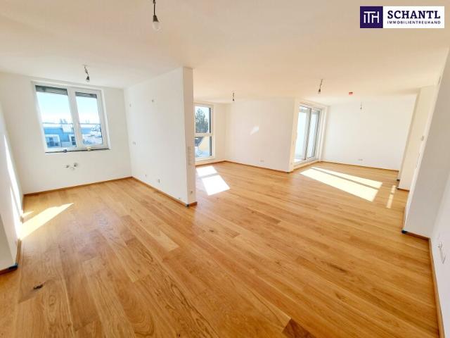 Penthouse kaufen in Wien