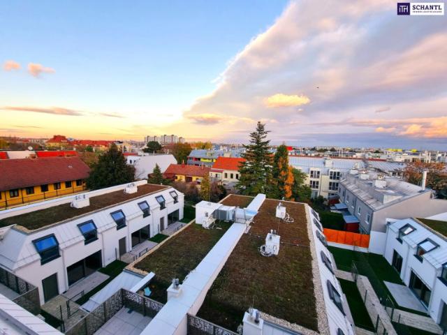 Penthouse kaufen in Liesing, Wien