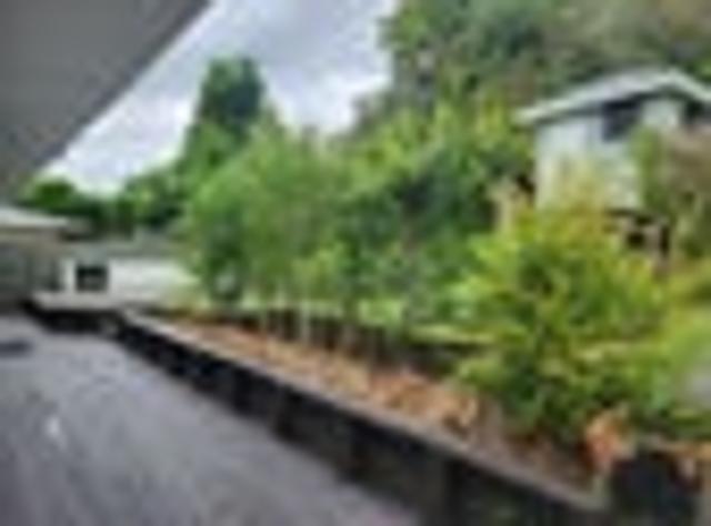 House for rent in Raumanga