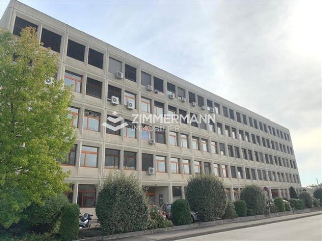 Atelier mieten in Satigny