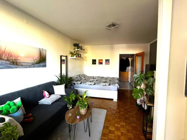 Wohnung kaufen in Neustadt, Salzburg