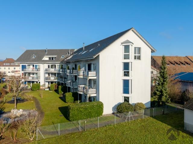 Wohnung kaufen in Zofingen, Bezirk Zofingen