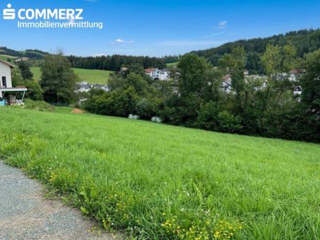 Grundstück kaufen in Zöbern, Niederösterreich