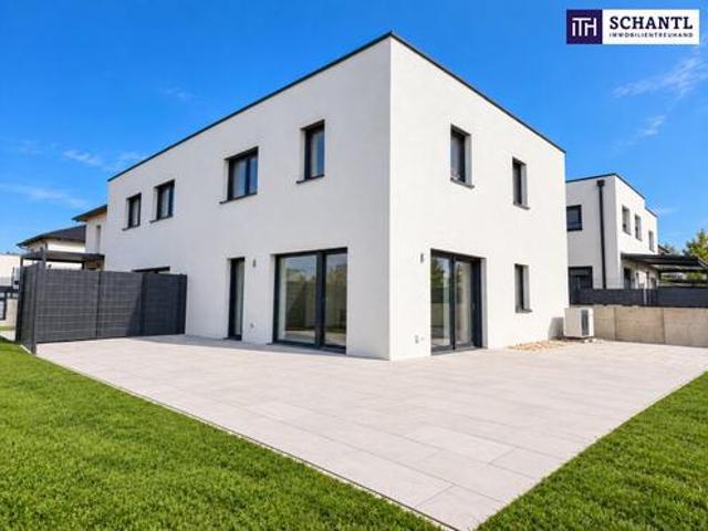Haus kaufen in Wolkersdorf im Weinviertel, Bezirk Mistelbach
