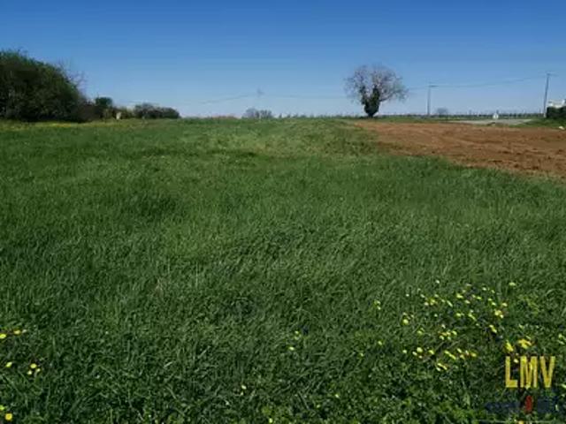 Terrain vente à Libourne, Rauzan