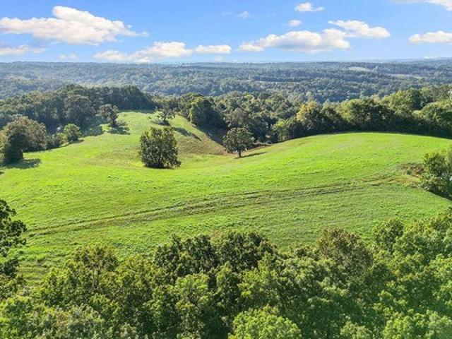 Land for sale in Noel, Missouri