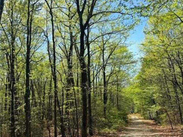 Land for sale in Dobson, North Carolina