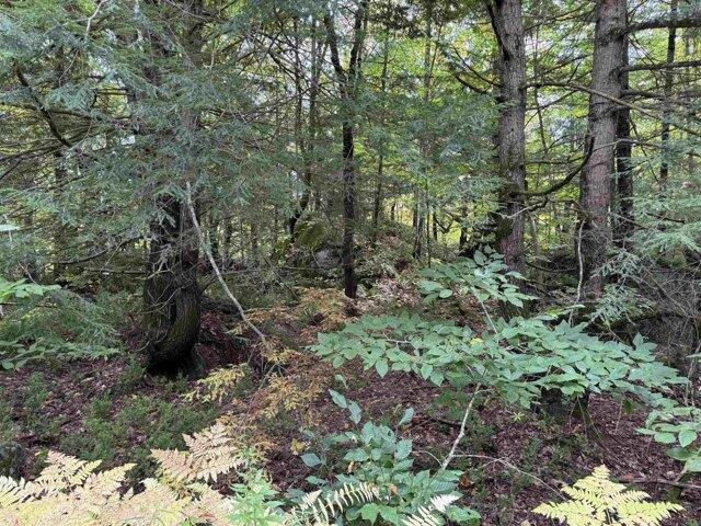 Land for sale in Hillsborough, Hillsborough County