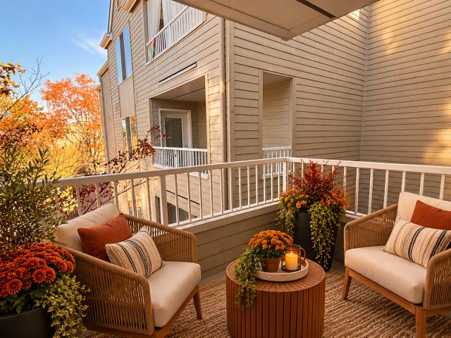 Apartment for rent in University Heights, Seattle