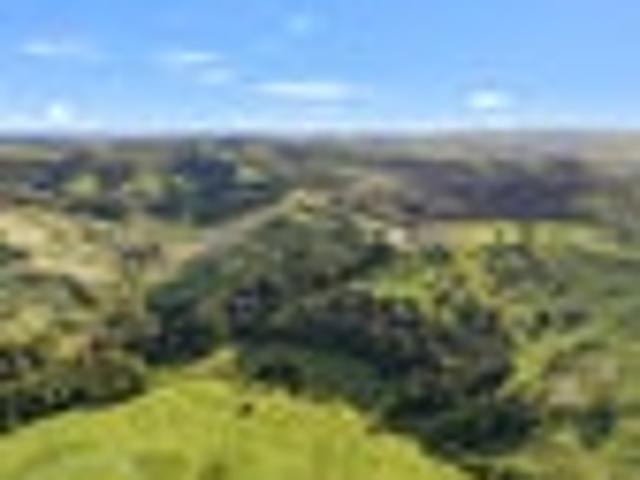 Land for sale in Northland
