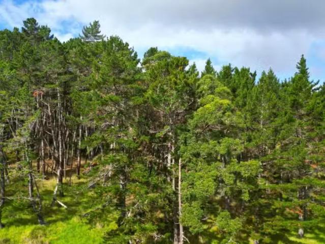 House for sale in Ohaeawai, Northland