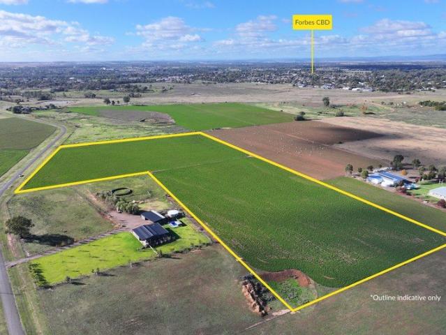 Land for sale in Bedgerabong, New South Wales